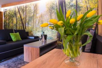 Фото номера Апартаменты Курортные отели Góral Spa&amp;Wellness г. Щирк 5