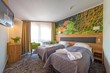 Фото номера Двухместный номер с 1 кроватью Курортные отели Góral Spa&amp;Wellness г. Щирк 3