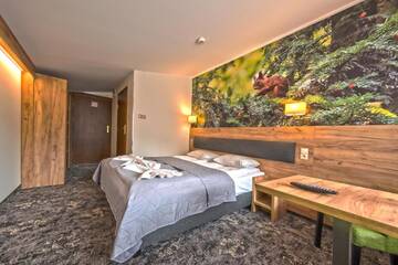 Фото номера Двухместный номер с 1 кроватью Курортные отели Góral Spa&amp;Wellness г. Щирк 5